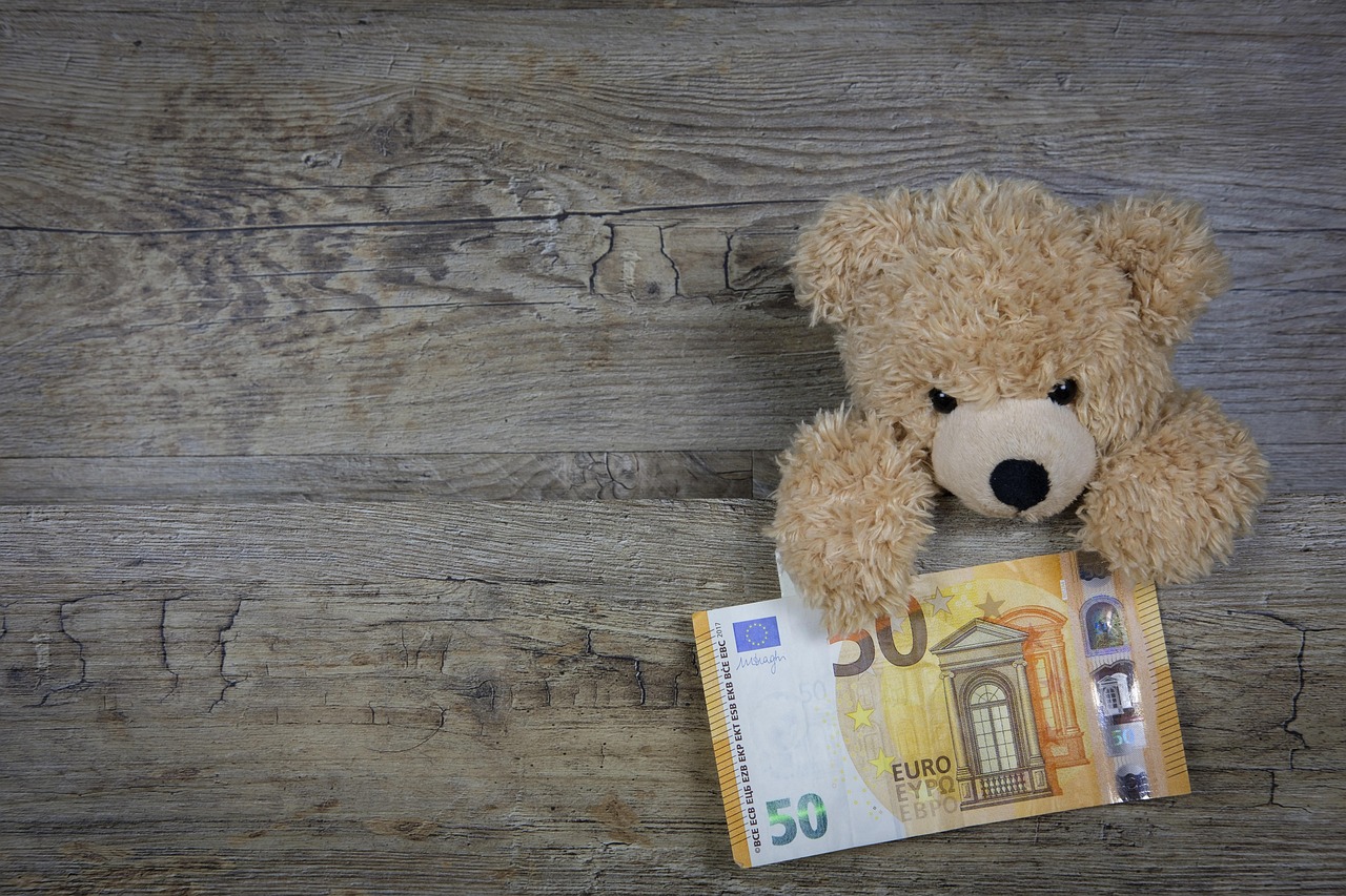 Bonifico ai figli con causale corretta per evitare sanzioni Agenzia delle Entrate.