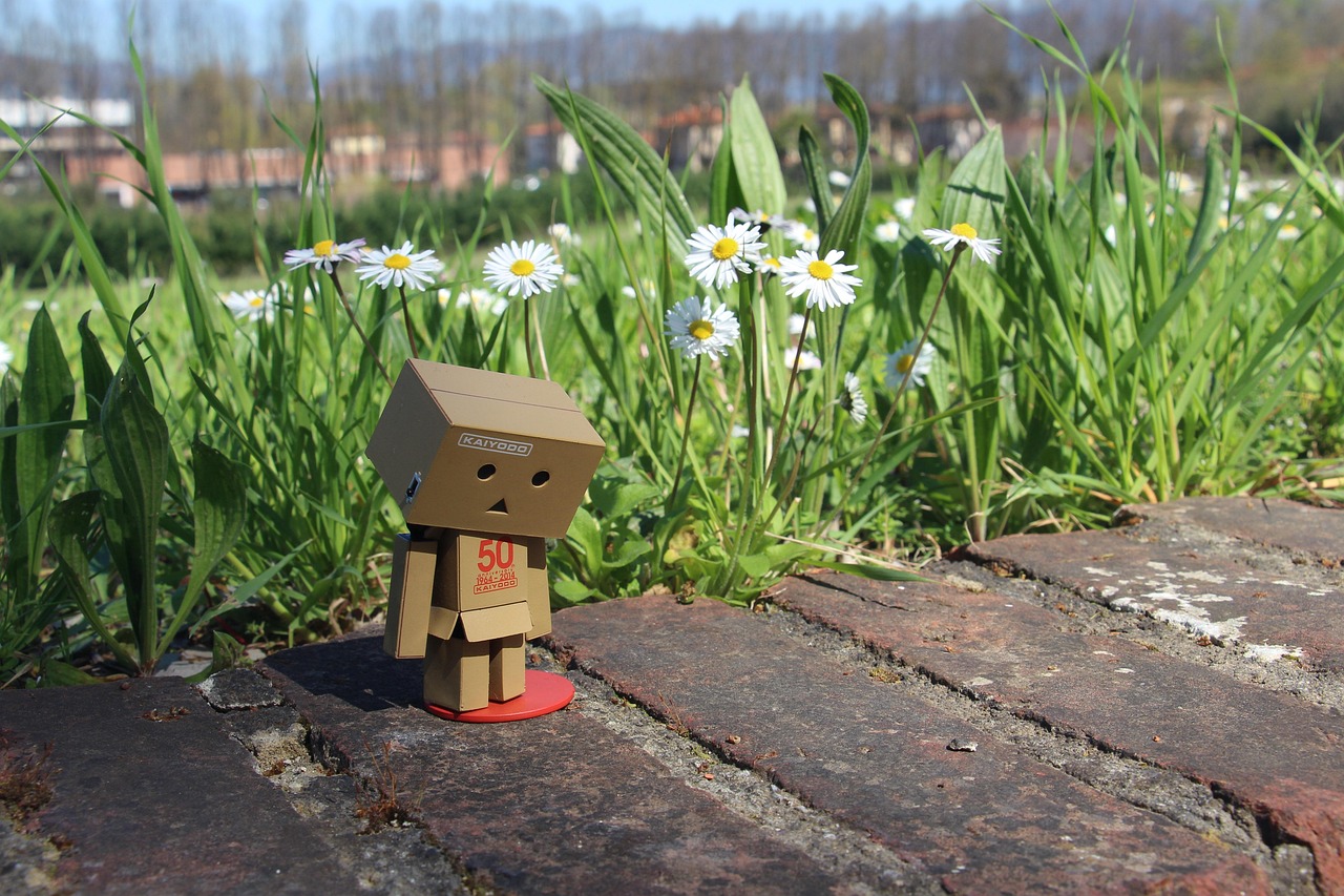 Cartone posato sul fondo di un'aiuola per migliorare la crescita delle piante.